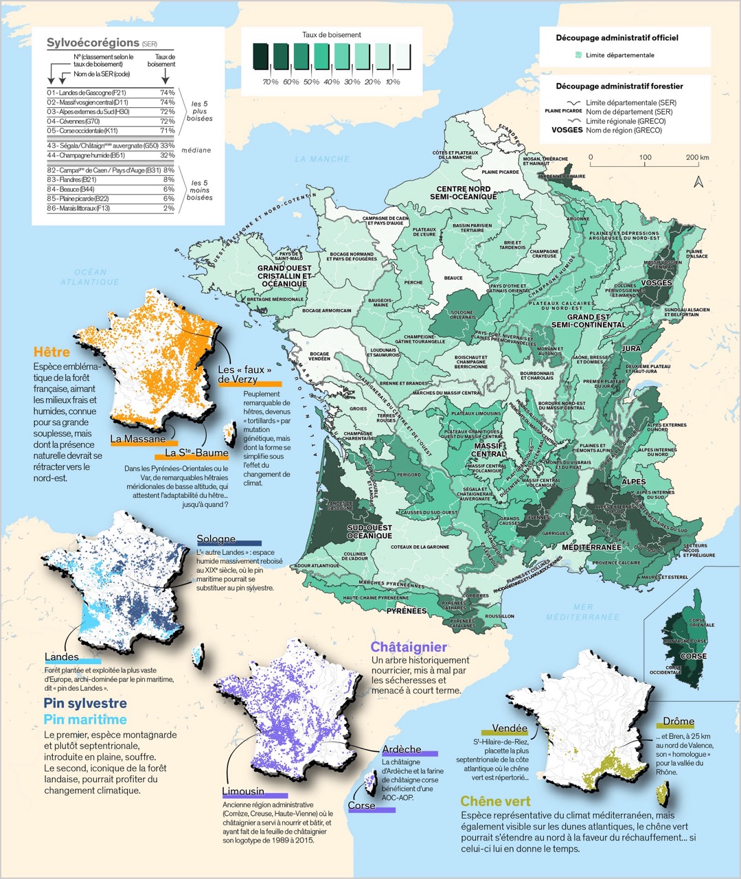 La République des arbres